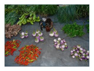 Légumes, salades et oiseaux chassés, entres autres beaucoup d'ortolans au Laos.