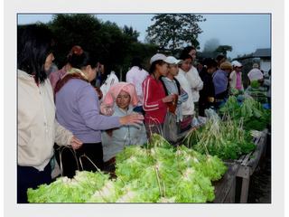 Les vendeuses de salades.