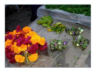 De beaux légumes, également des fleurs pour les offrandes.