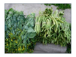 Plantes et petits fagots de haricots.