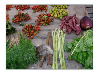 De jolies couleurs.