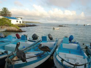 Exploration de l'île Santa Cruz – Équateur