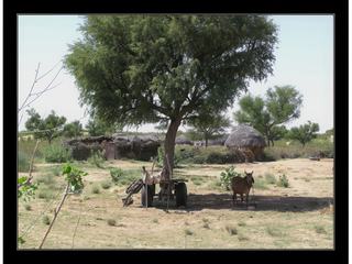 Sur la route, un village.