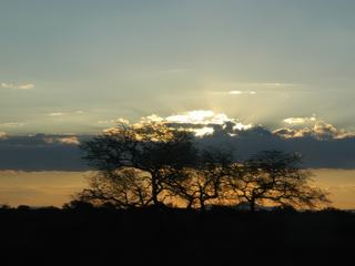 Photo de voyage en Namibie