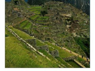 Le prodige du Machu Picchu est d'arriver à établir un équilibre architectonique dans un endroit si abrupt et si difficile d'accès. La construction de la ville a nécessité une incroyable planification, tenant compte du relief particulièrement escarpé des montagnes. Le résultat offre une architecture en cascades, aux multiples paliers, escaliers et sources d'eau. Composée de deux secteurs, l'un agricole et l'autre urbain, la ville se parcourt autour d'une centaine de terrasses andines, disposant pour certaines de plus de 100 marches. De nombreux étangs et sources, appelés "Pacchas", sont taillés dans la pierre et interconnectés par des canaux et tuyaux d'écoulement percés dans la roche.