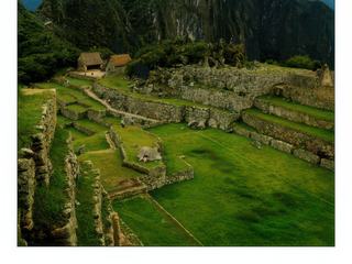Les terrasses de cultures de Machu Picchu apparaissent comme de grands escaliers sur le flanc de la montagne. Ce sont des constructions formées par un mur de pierre et un empilement de couches de matériaux divers (grandes pierres, pierres plus petites, fragments de roches,argile et terre de culture) qui facilite le drainage en évitant que l'eau puisse miner la structure : n'oublions pas la forte pluviosité de la région. Ce type de construction a permis que les cultures se poursuivent jusqu'au XXe siècle sans problème. D'autres terrasses de moindre largeur se trouvent dans la partie basse de Machu Picchu, tout autour de la cité. Ce sont des murs de soutien. Cinq grandes constructions se trouvent sur les terrasses à l'est de la route inca qui conduit à Machu Picchu depuis le sud. Elles servaient de magasins. La ville était alimentée grâce à ces cultures en terrasse, qui permettaient de récolter maïs, pomme de terre et divers légumes. On estime que ces champs pouvaient nourrir jusqu'à 10000 personnes.
