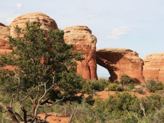 Capitol Reef et Arche National Parc – États-Unis