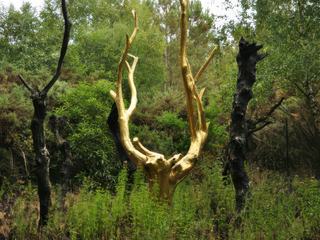 L'arbre d'or