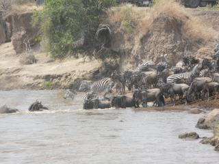 Photo de voyage au Kenya