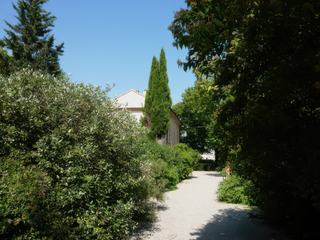 L'allée d'accès.