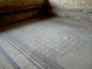 Mosaïques de la Maison aux Animaux Sauvages.