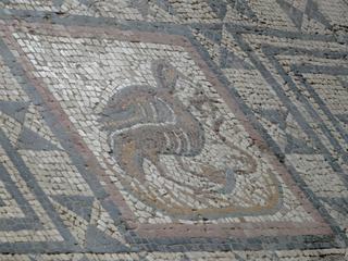 Mosaïques de la Maison aux Animaux Sauvages.
