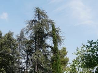 Près de la Maison à la Tonnelle.