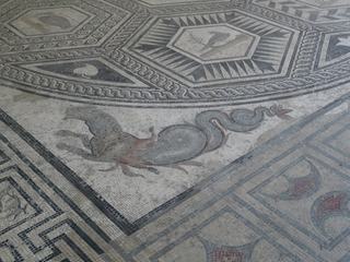 Musée archéologique Théo-Desplans. Détail de la Mosaïque du Paon: le Dragon.