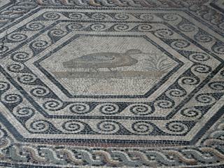 Musée archéologique Théo-Desplans. Détail de la Mosaïque du Paon: le canard.