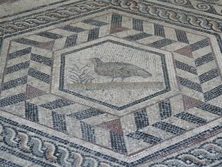 Musée archéologique Théo-Desplans. Détail de la Mosaïque du Paon:la perdrix.
