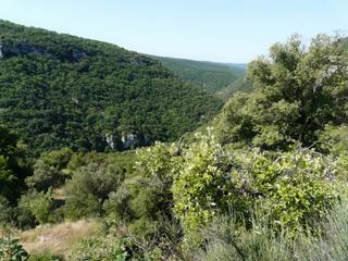 Il y a plus de 60.000 ans, ce canyon abritait les premiers habitants de la région, plus de 32.000 restes osseux ont été retrouvés ainsi que plus de 5.000 objets de silex.