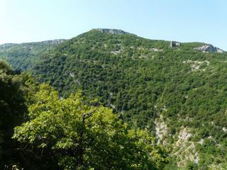Difficile d'apercevoir la Nesque, petite rivière dissimulée sous une épaisse végétation.