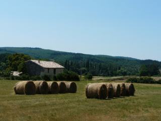 Continuons la route!