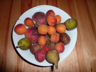 Les fruits bio de la ferme, un régal!