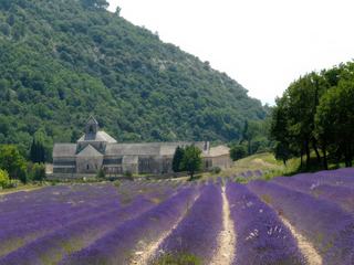 L'abbaye Notre-Dame de Sénanque est, avec les abbayes de Silvacane et de Thoronet, l'une des "trois sœurs cisterciennes de Provence", elles mêmes "petites-filles" de l'abbaye de Cîteaux.