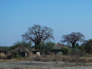 Un village Masaï