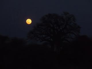 La nuit est tombée, nous sommes sortis du parc juste à temps.