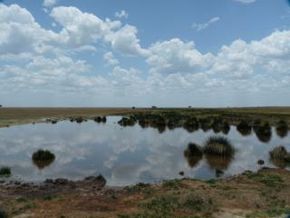 Reflets