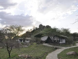 Notre "camp" le Mbuzi Mawe Camp pour 2 nuits. Situé dans le secteur de la rivière Seronera,ce fut notre coup de coeur logement !!!.