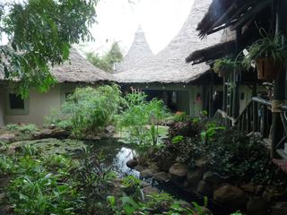 Le jardin de notre hôtel : Le lac Manyara Serena Lodge. Super !!!.