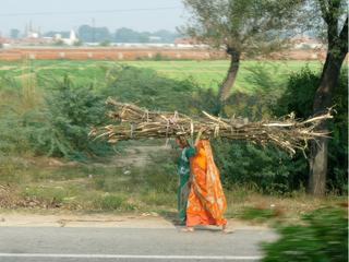 Photo de voyage en Inde
