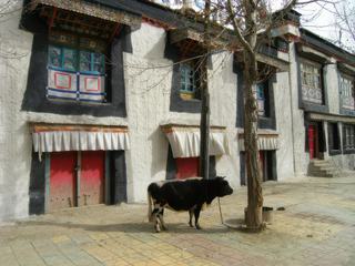 Les rues de Gyantse