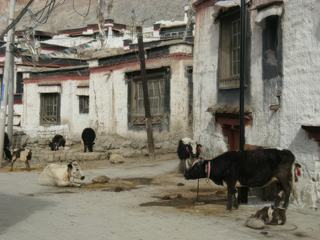 Les rues de Gyantse