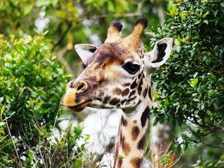 Photo de voyage en Tanzanie