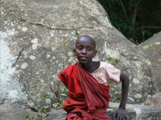 Safari animalier en privatif, tente, lodge et hôtel – Tanzanie