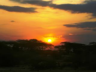 Safari animalier en privatif, tente, lodge et hôtel – Tanzanie
