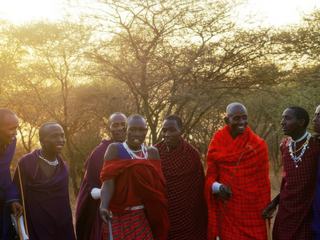 Safari animalier en privatif, tente, lodge et hôtel – Tanzanie