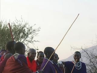 Safari animalier en privatif, tente, lodge et hôtel – Tanzanie