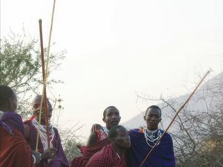 Safari animalier en privatif, tente, lodge et hôtel – Tanzanie