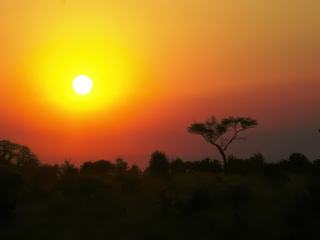 Safari animalier en privatif, tente, lodge et hôtel – Tanzanie