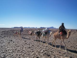 La caravane