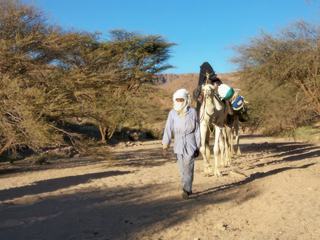 Arrivée au lieu de campement