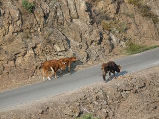 Photo de voyage en Corse