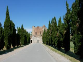 L'allée bordée de cyprès menant à l'entrée de l'abbaye.