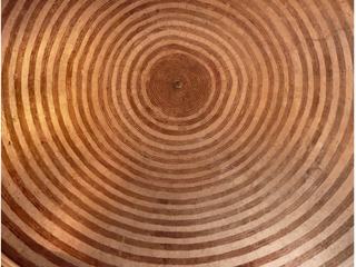 L'intérieur de la chapelle présente de superbes ornements, à commencer par la voûte hémisphérique à anneaux concentriques aux couleurs de la terre cuite et du travertin. Sa forme circulaire symbolise la voûte céleste, assimilée aux concepts de perfection et d’infini, avec une absence d’angles et des points tous équidistants du centre.