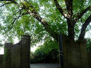Calme et sérénité.