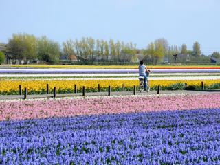 Photo de voyage en Pays-Bas