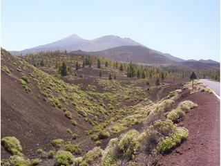 Teide