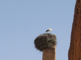 A voir à Marrakech – Maroc