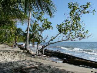 En route vers la côte Atlantique – Costa Rica